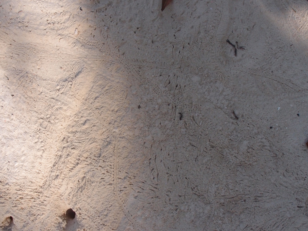 2015-10-07 04 Sand (Foto)